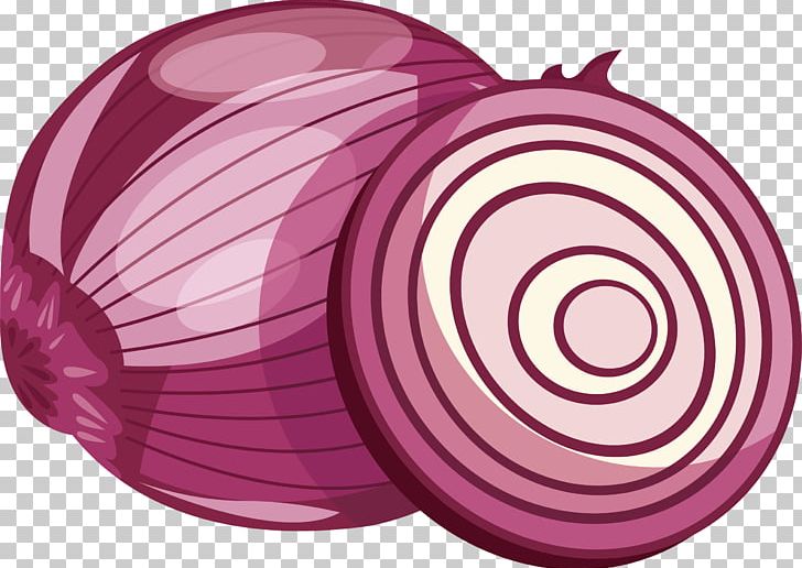 Red Onion Purple Vegetable PNG, Clipart, Cut Out, Cut Vector, Drawing, Euclidean Vector, Food Free PNG Download