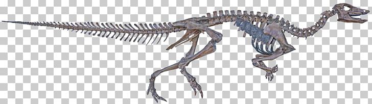 Tyrannosaurus Thescelosaurus Velociraptor Hell Creek Formation Late Cretaceous PNG, Clipart, Animal Figure, Bella Thorne, Character, Cretaceous, Dinosaur Free PNG Download