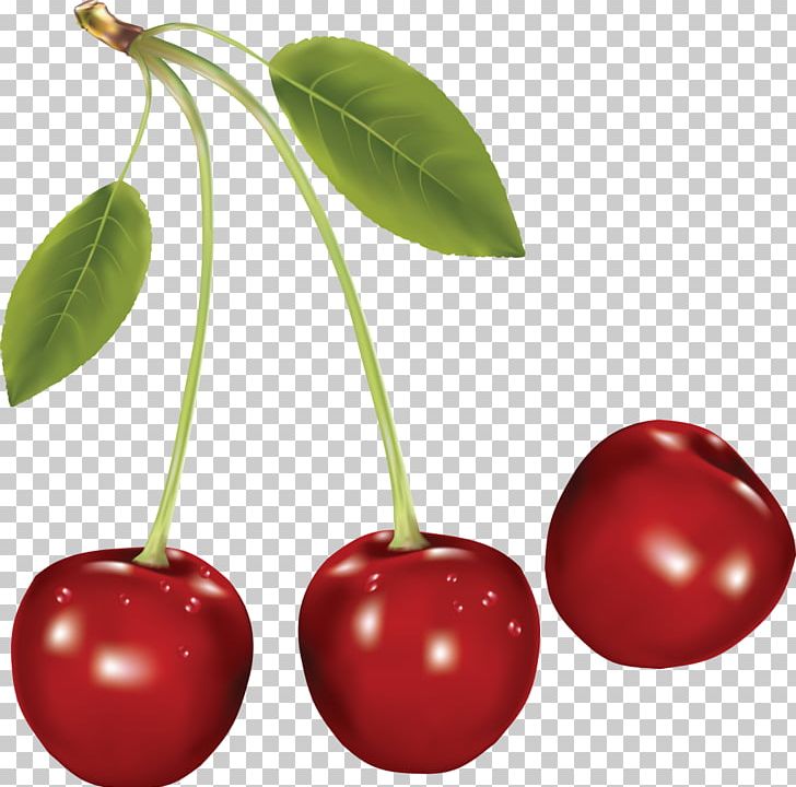 Cherry Fruit PNG, Clipart, Acerola, Acerola Family, Berry, Black Cherry, Cherry Free PNG Download