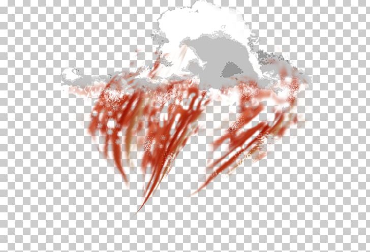 Close-up PNG, Clipart, Blood, Closeup, Miscellaneous, Others, Singleplayer Video Game Free PNG Download