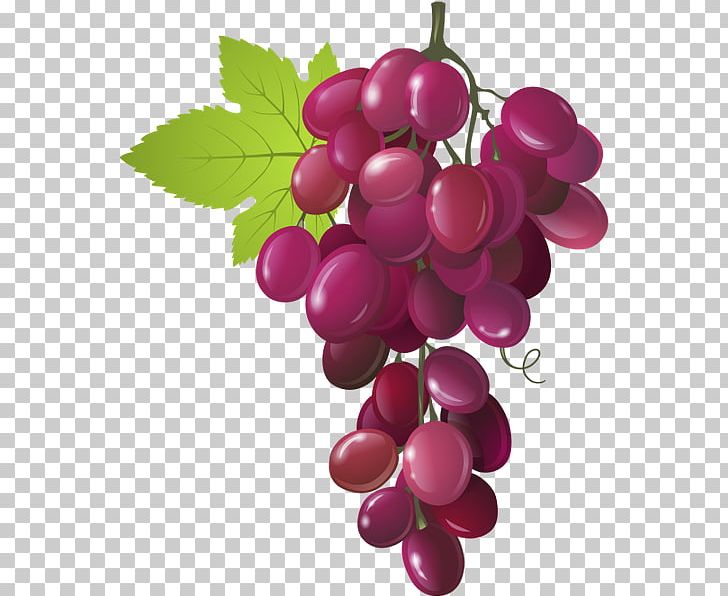 Common Fig PNG, Clipart, Bilberry, Encapsulated Postscript, Food, Fruit, Fruit Nut Free PNG Download