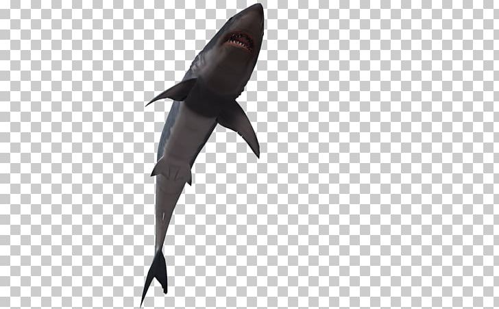 Shark Fish 3D Computer Graphics PNG, Clipart, 3d Computer Graphics, Angle, Animals, Animation, Balloon Cartoon Free PNG Download