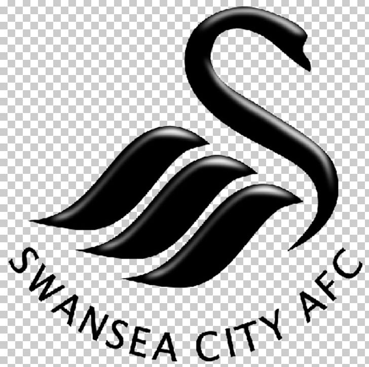 Swansea City A.F.C. Manchester City F.C. Premier League Brentford F.C. PNG, Clipart, Black And White, Brand, Brentford Fc, Efl Cup, Football Free PNG Download