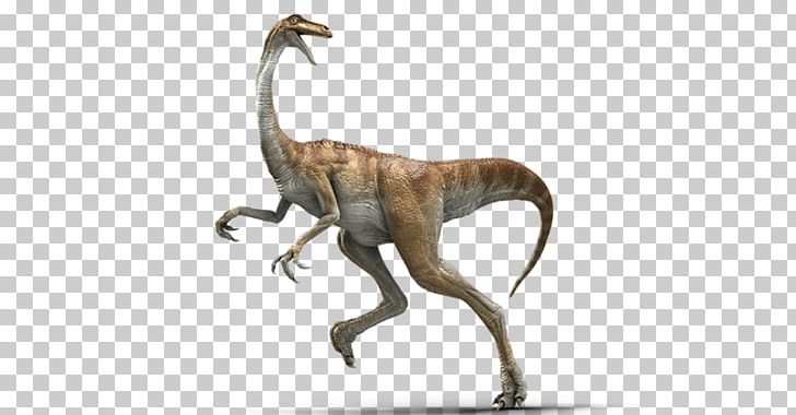 Gallimimus Baryonyx Velociraptor Parasaurolophus Ankylosaurus PNG, Clipart, Ankylosaurus, Baryonyx, Cretaceous, Dinosaur, Extinction Free PNG Download