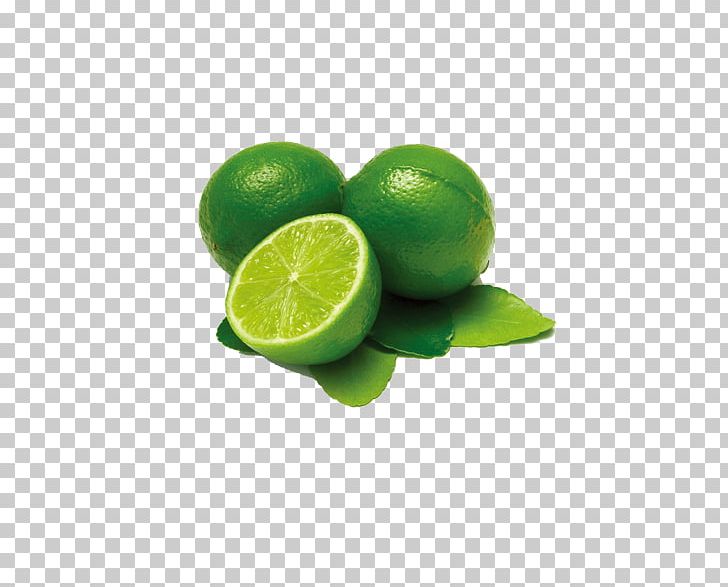 Key Lime Kaffir Lime Ulam Mandarin Orange PNG, Clipart, Calamondin, Chili Pepper, Chrysanthemum, Chrysanthemum Vector, Citric Acid Free PNG Download