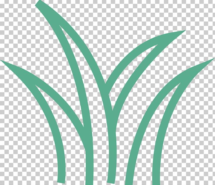 Leaf Logo Font Plant Stem PNG, Clipart, Angle, Artificial Grass, Family, Flower, Grass Free PNG Download
