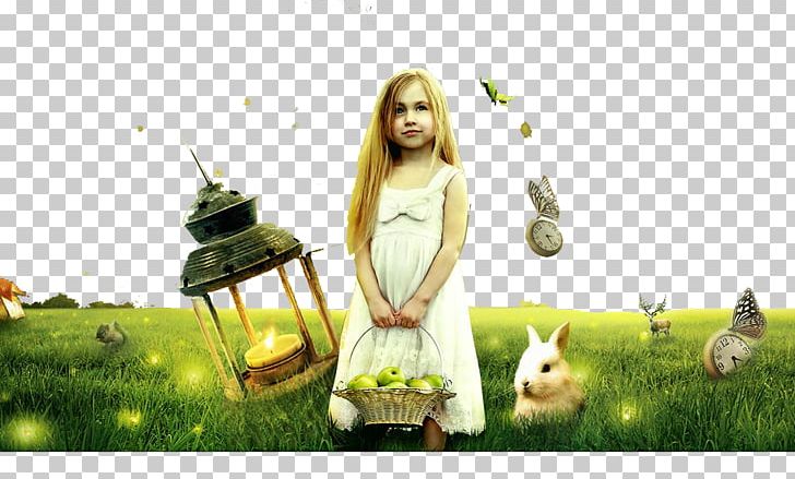 Adobe Illustrator Tutorial Software PNG, Clipart, Adobe Illustrator, Adobe Lightroom, Adobe Systems, Anime Girl, Baby Girl Free PNG Download
