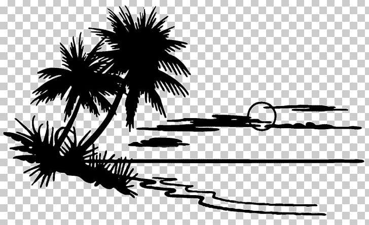 Decal Drawing Sabal Palm Adonidia PNG, Clipart, Adonidia, Arecaceae, Arecales, Black, Black And White Free PNG Download