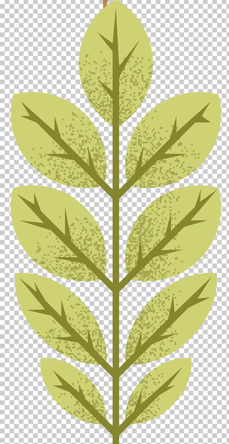 Leaf Autumn PNG, Clipart, Background Vector, Branch, Cartoon, Fall Leaves, Grass Free PNG Download