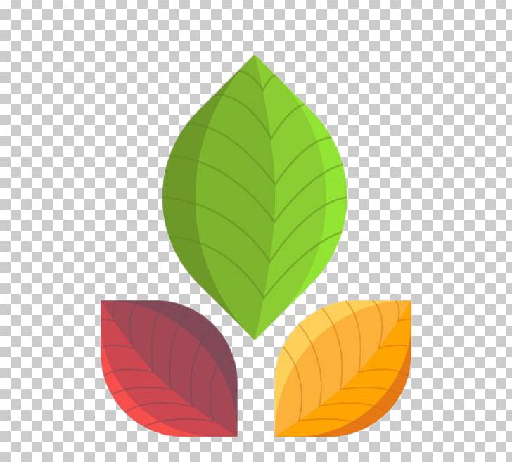 Leaf Color PNG, Clipart, Autumn Leaf Color, Clover, Color, Colorful Background, Color Pencil Free PNG Download