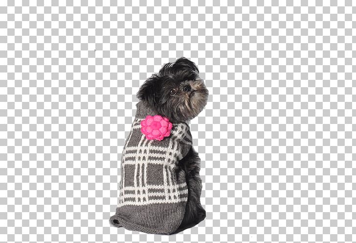 Schnoodle Affenpinscher Puppy Dog Breed Clothing PNG, Clipart, Affenpinscher, Clothing, Coat, Dog, Dog Breed Free PNG Download
