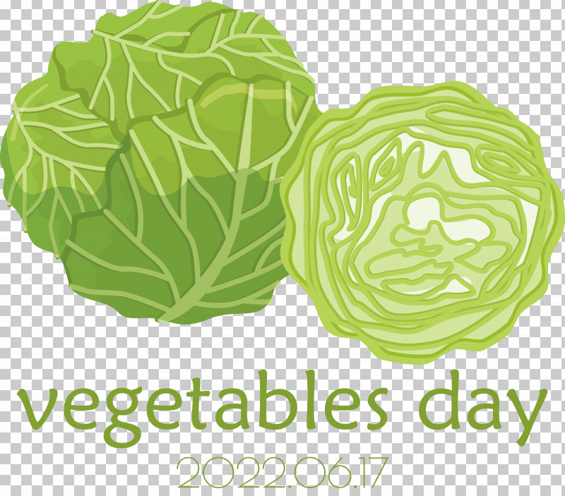 Leaf Vegetable Cabbage Vegetable Leaf Font PNG, Clipart, Biology, Cabbage, Door, Green, Leaf Free PNG Download