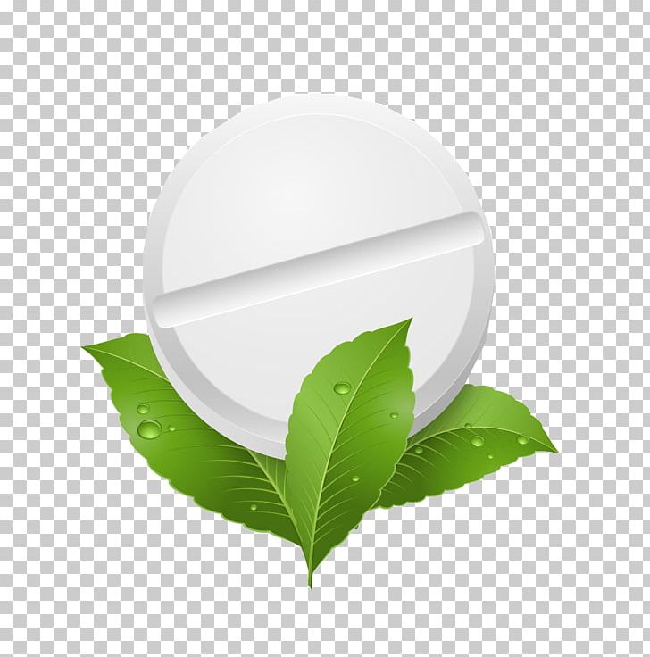 Peppermint Herb Leaf Illustration PNG, Clipart, Autumn Leaf Color, Background White, Black White, Capsule, Circle Free PNG Download