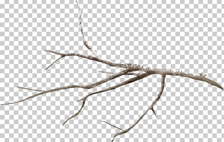 Twig Tree Branch Leaf Flower PNG, Clipart, Angle, Branch, Branches, Concepteur, Covered Free PNG Download