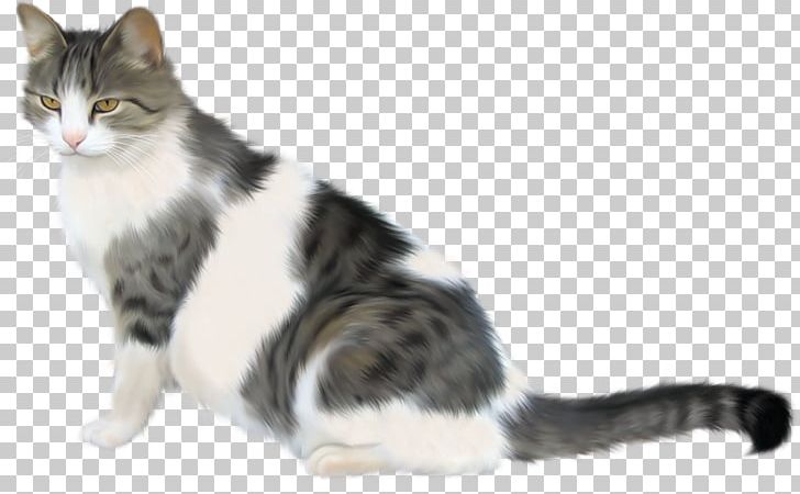 European Shorthair American Wirehair Whiskers Domestic Short-haired Cat Kitten PNG, Clipart, Amer, American Shorthair, Animal, Animals, Carnivoran Free PNG Download