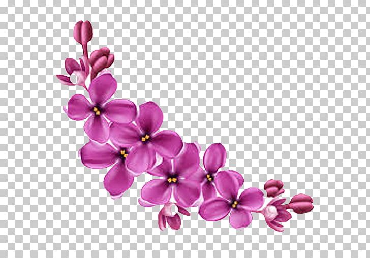 Pink Flowers PNG, Clipart, Blossom, Clip Art, Color, Cut Flowers, Desktop Wallpaper Free PNG Download