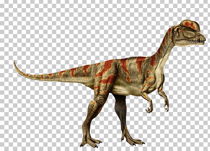 Tyrannosaurus Dilophosaurus Velociraptor PNG, Clipart, Allosaurus, Animal Figure, Carnivore, Clip Art, Dilophosaurus Free PNG Download