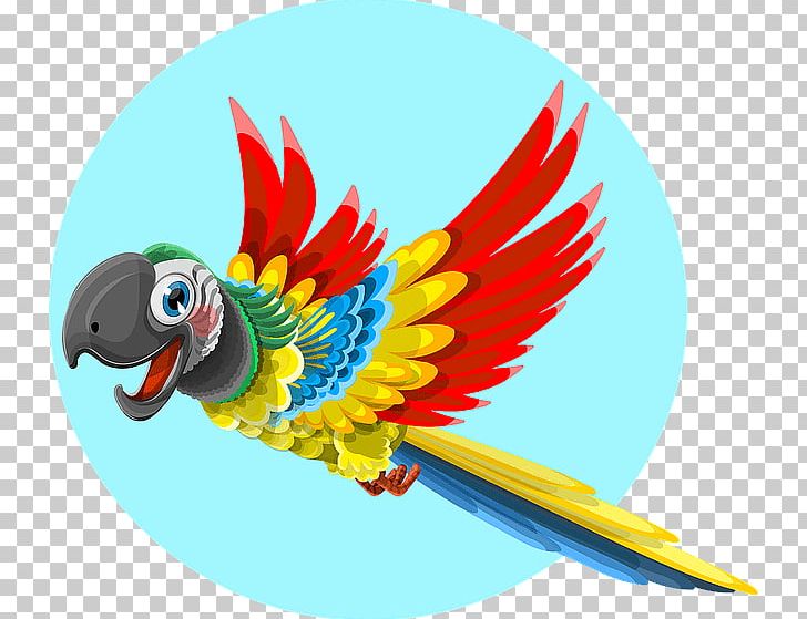 Parrot PNG, Clipart, Animal, Animals, Beak, Bird, Computer Wallpaper Free PNG Download