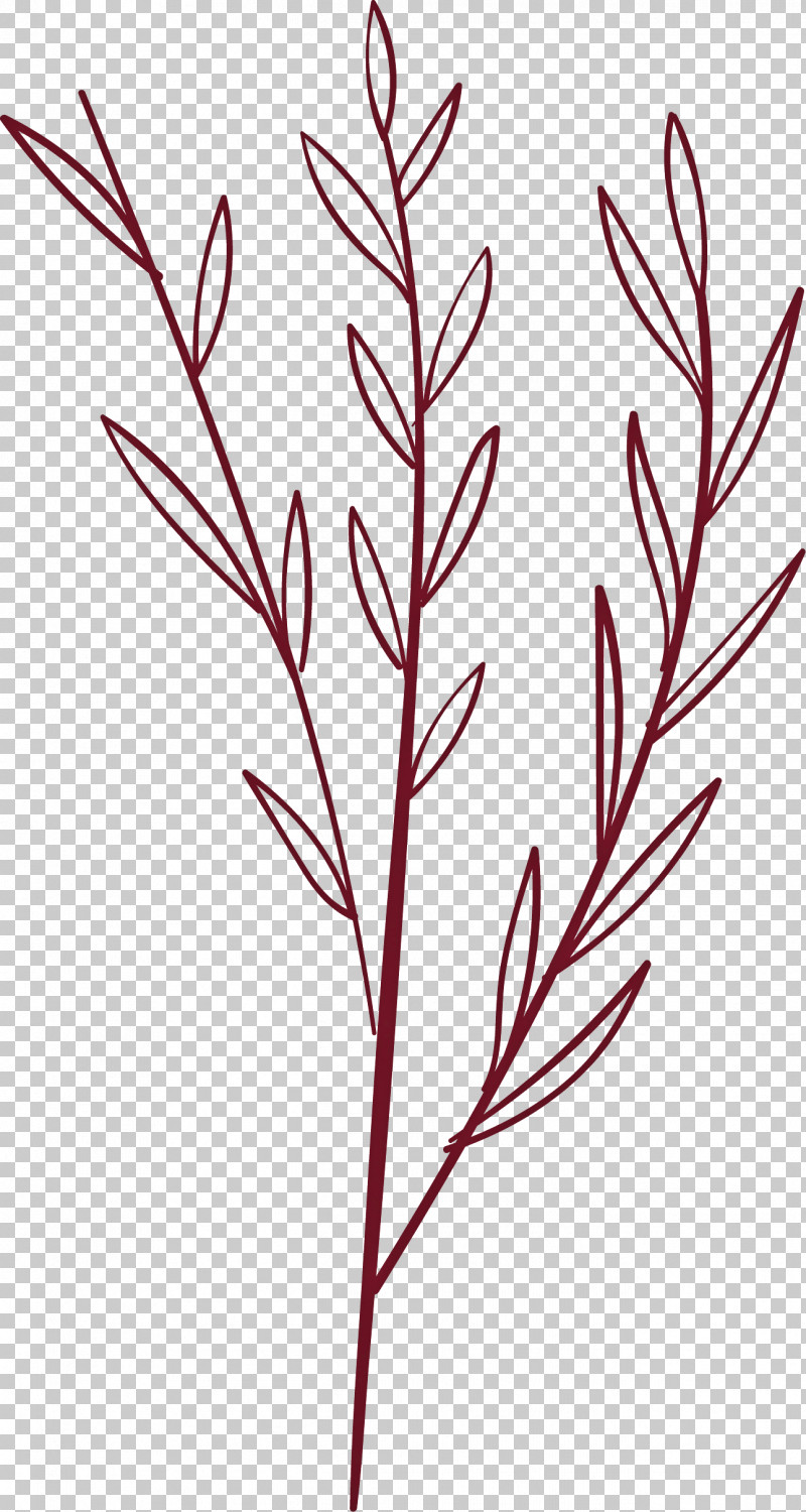 Simple Leaf Simple Leaf Drawing Simple Leaf Outline PNG, Clipart, Acacia, Annual Plant, Branch, Bud, Flower Free PNG Download