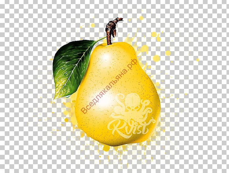 Asian Pear Desktop Pyrus Pyraster Fruit Chinese White Pear PNG, Clipart, Accessory Fruit, Asian Pear, Citron, Citrus, Desktop Wallpaper Free PNG Download
