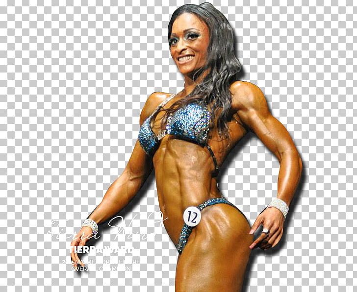 Fitness And Figure Competition PNG, Clipart, Abdomen, Arm, Bodybuilder, Bodybuilding, Chest Free PNG Download