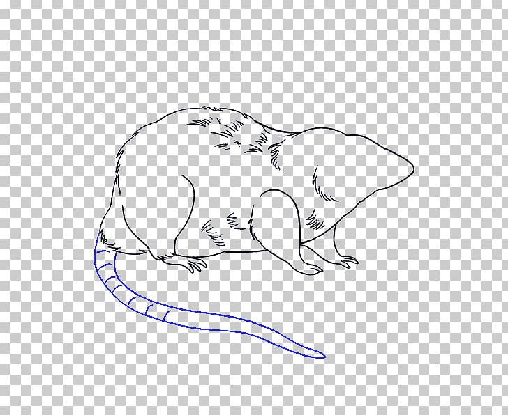 Laboratory Rat Drawing Mouse Sketch PNG, Clipart, Angle, Animals, Area, Art, Black And White Free PNG Download