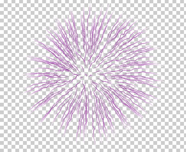 Fireworks Graphics PNG, Clipart, Art, Circle, Clip, Computer Wallpaper, Desktop Wallpaper Free PNG Download