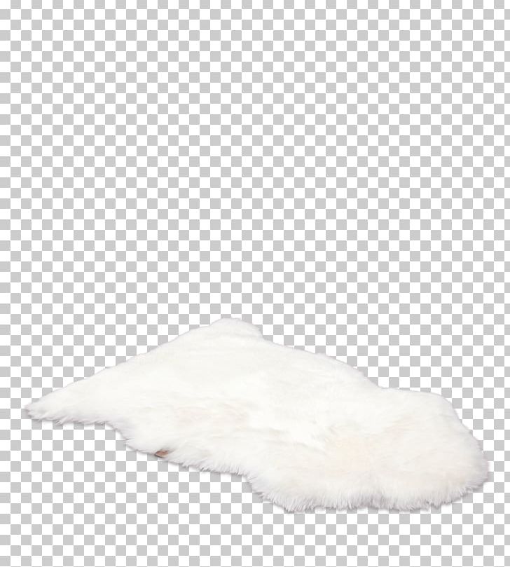 Fur Shoe PNG, Clipart, Fur, Miscellaneous, Others, Rug, Shoe Free PNG Download