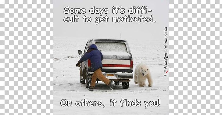 Polar Bear Humour Winter PNG, Clipart, Advertising, American Black Bear, Bear, Brand, Catchphrase Free PNG Download