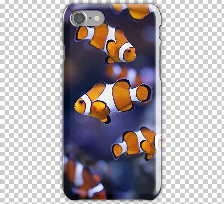 Mobile Phone Accessories Mobile Phones IPhone Font PNG, Clipart, Clownfish, Iphone, Mobile Phone Accessories, Mobile Phone Case, Mobile Phones Free PNG Download