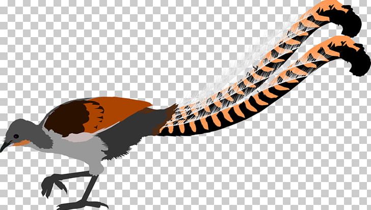 Superb Lyrebird Reptile Atlantic Puffin PNG, Clipart, Animal, Animal Figure, Animals, Atlantic Puffin, Beak Free PNG Download