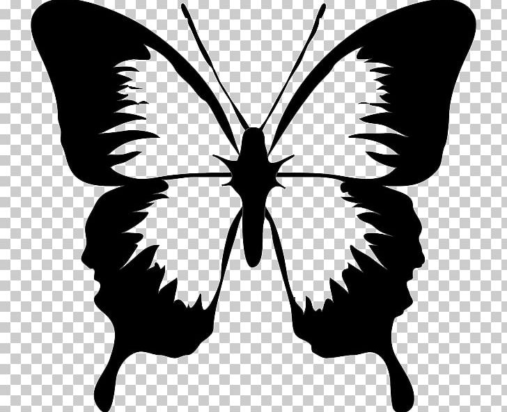 Butterfly Drawing PNG, Clipart, Arthropod, Black And White, Brush Footed Butterfly, Document, Download Free PNG Download