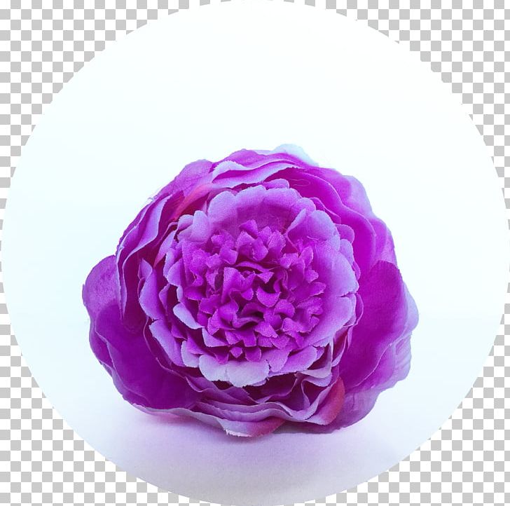 Cabbage Rose Cut Flowers Peony Petal PNG, Clipart, Com, Cosmetic Toiletry Bags, Cut Flowers, Email, Facebook Free PNG Download