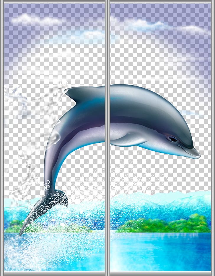 Cartoon Drawing Dolphin PNG, Clipart, Animals, Cartoon, Cartoon Character, Cartoon Cloud, Cartoon Eyes Free PNG Download