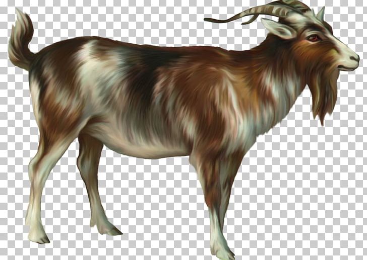 Ahuntz Goat Sheep PNG, Clipart, Animals, Cattle Like Mammal, Cow Goat Family, Data Compression, Digital Image Free PNG Download