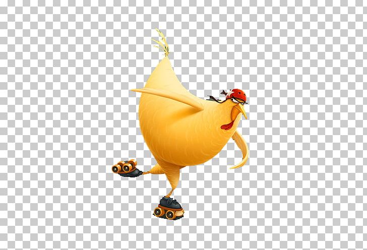 Chicken Duck Ice Skating PNG, Clipart, Animal, Animals, Beak, Bird, Cartoon Free PNG Download