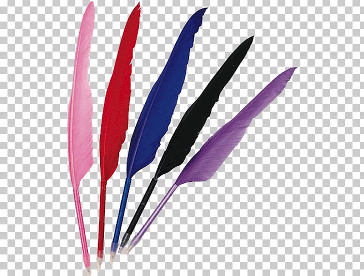 Quill Feather Ballpoint Pen Pencil PNG, Clipart, Animals, Ballpoint Pen, Black, Centimeter, Classroom Free PNG Download