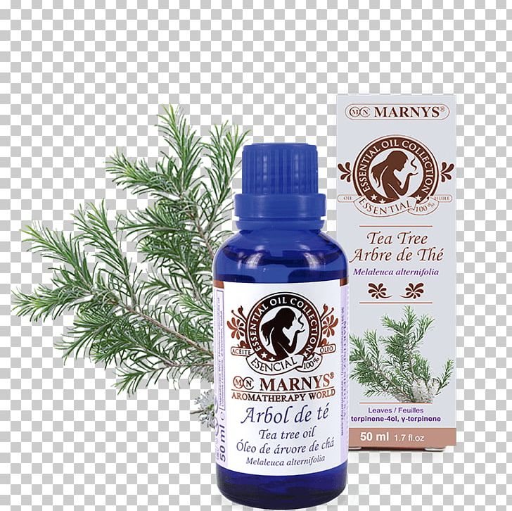 Marny's Oil Tea Tree Essential Oil 15Ml. 15 Ml Narrow-leaved Paperbark Distillation PNG, Clipart,  Free PNG Download