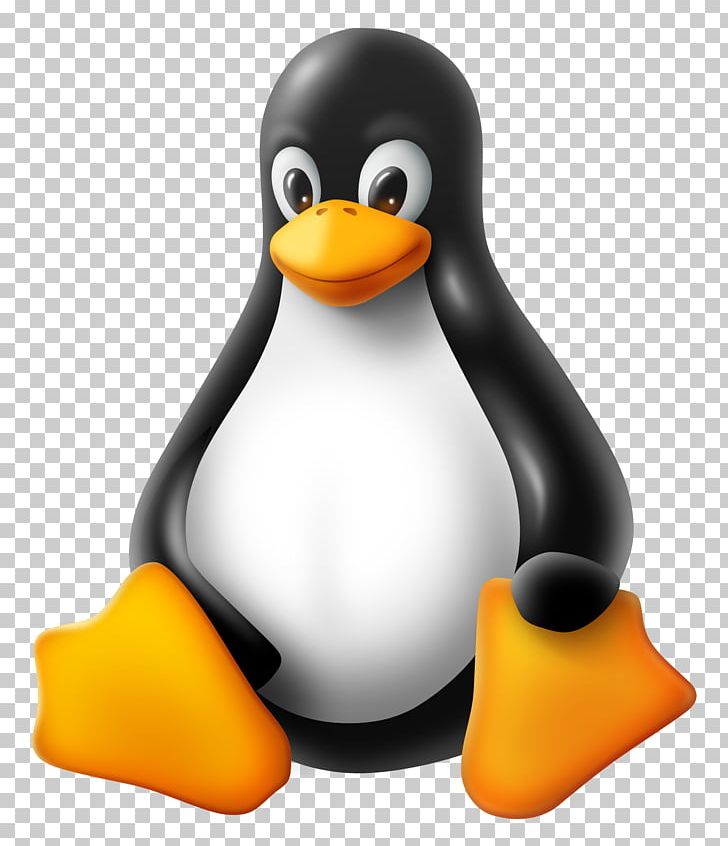 Tux Racer T-shirt Linux Kernel PNG, Clipart, Android, Beak, Bird, Duck, Ducks Geese And Swans Free PNG Download