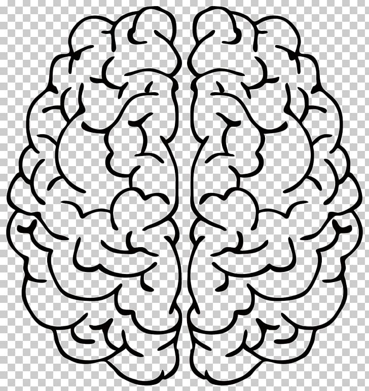 Line Art Brain Drawing PNG, Clipart, Architecture, Area, Art, Black And White, Brain Free PNG Download