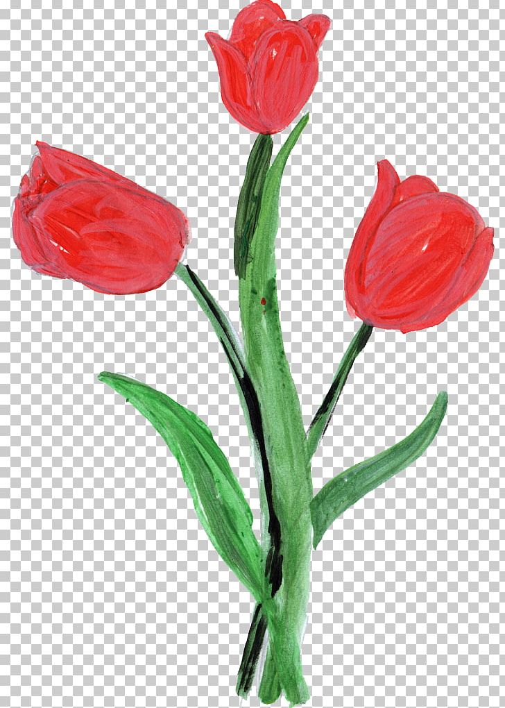 Tulip Microsoft Paint Flower Petal PNG, Clipart, Cut Flowers, De Gedichten, Flower, Flowering Plant, Flowers Free PNG Download