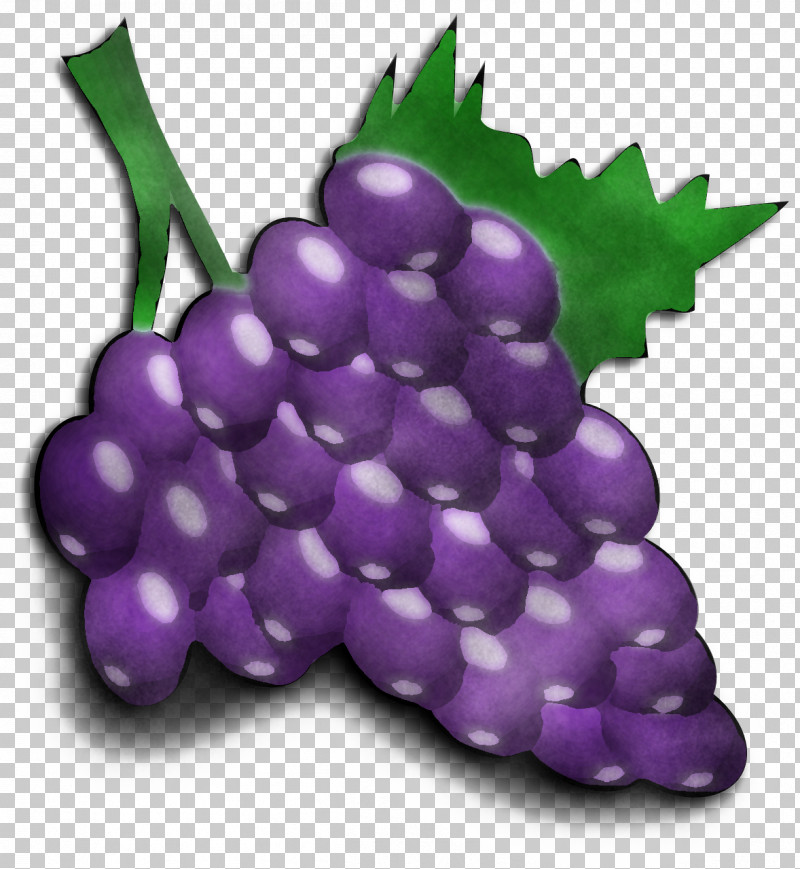 Grape Grapevine Family Purple Fruit Plant PNG, Clipart, Food, Fruit, Grape, Grapevine Family, Plant Free PNG Download