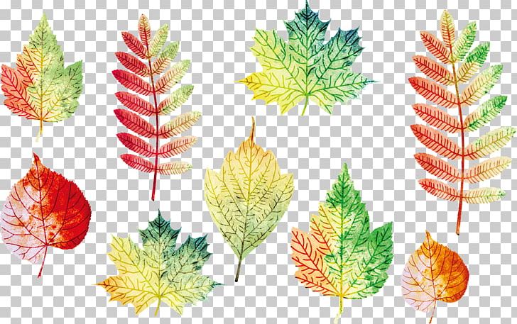 Autumn Leaves Leaf Euclidean PNG, Clipart, Autumn Tree, Christmas Ornament, Color, Decoration, Download Free PNG Download