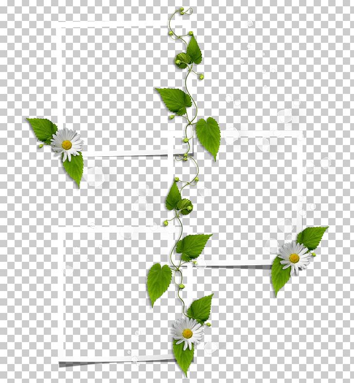 Encapsulated PostScript PNG, Clipart, Branch, Chamomile, Computer Icons, Data, Dendranthema Lavandulifolium Free PNG Download