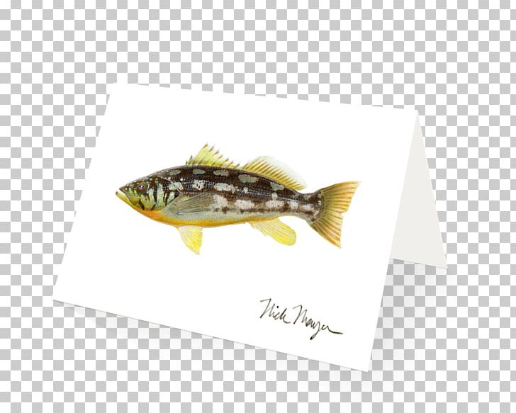 Fish PNG, Clipart, Art, Fish, Sea Bass Free PNG Download