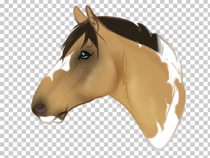 Mane Mustang Pony Halter Stallion PNG, Clipart, Bit, Bridle, Brown, Cartoon, Florida Kraze Krush Soccer Club Free PNG Download