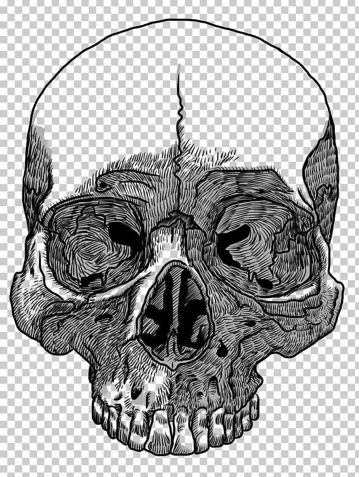 Skull Drawing Transparency And Translucency PNG, Clipart, Art, Black And White, Bone, Clip Art, Color Free PNG Download