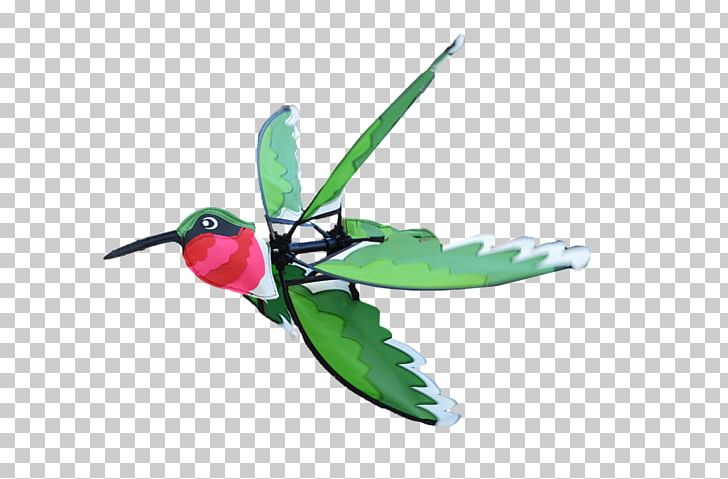 Hummingbird M Insect Wing Beak PNG, Clipart, Animals, Beak, Bird, Hummingbird, Hummingbird M Free PNG Download