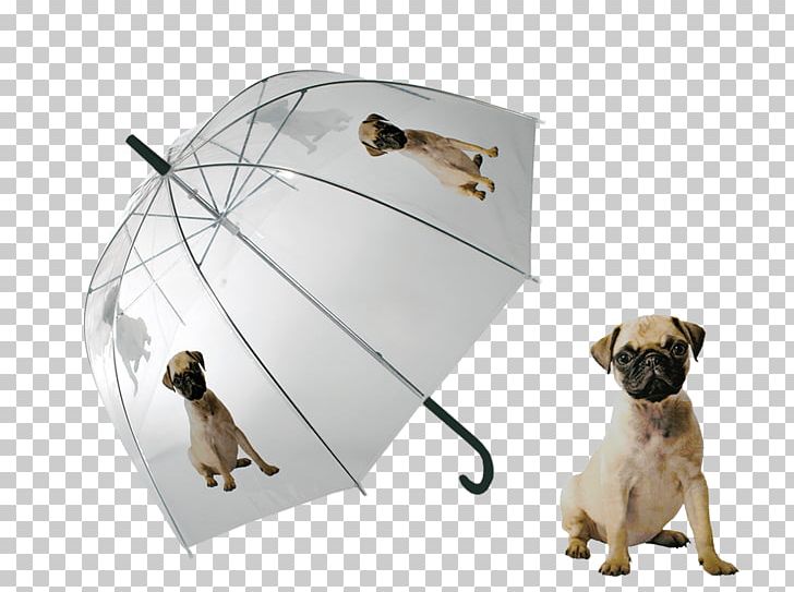 Pug Puppy Umbrella Dome Clothing PNG, Clipart, Animals, Carnivoran, Clothing, Clothing Accessories, Dog Free PNG Download