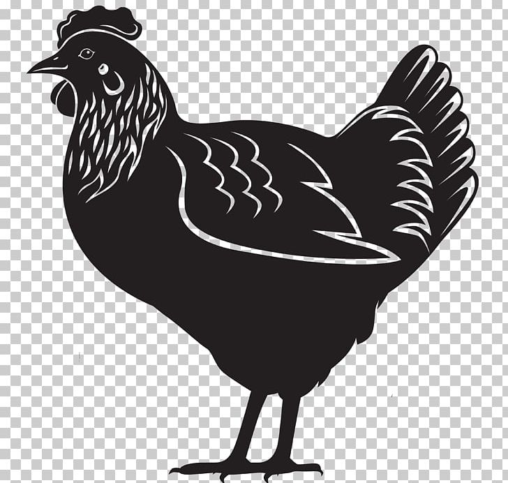 Chicken PNG, Clipart, Animals, Beak, Bird, Black And White, Chicken Free PNG Download